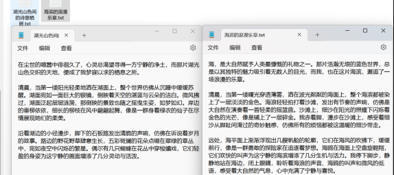 txt文本转换新突破：ANSI变带BOM UTF-8，办公软件助力管理